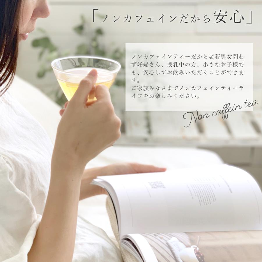 H＆F BELX グリーンアップルルイボスティー 2.5g×30包 ｜グリーン