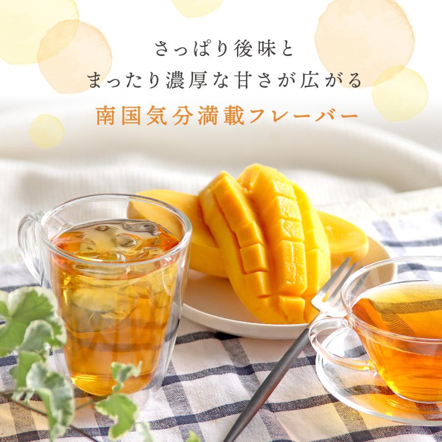 H＆F BELX マンゴールイボスティー2.5g×30包｜お茶 ハーブティー