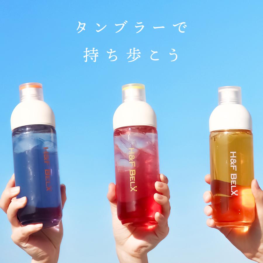 H＆F BELX ハニーブッシュティー 2.5g×100包 ティーバッグ ティー