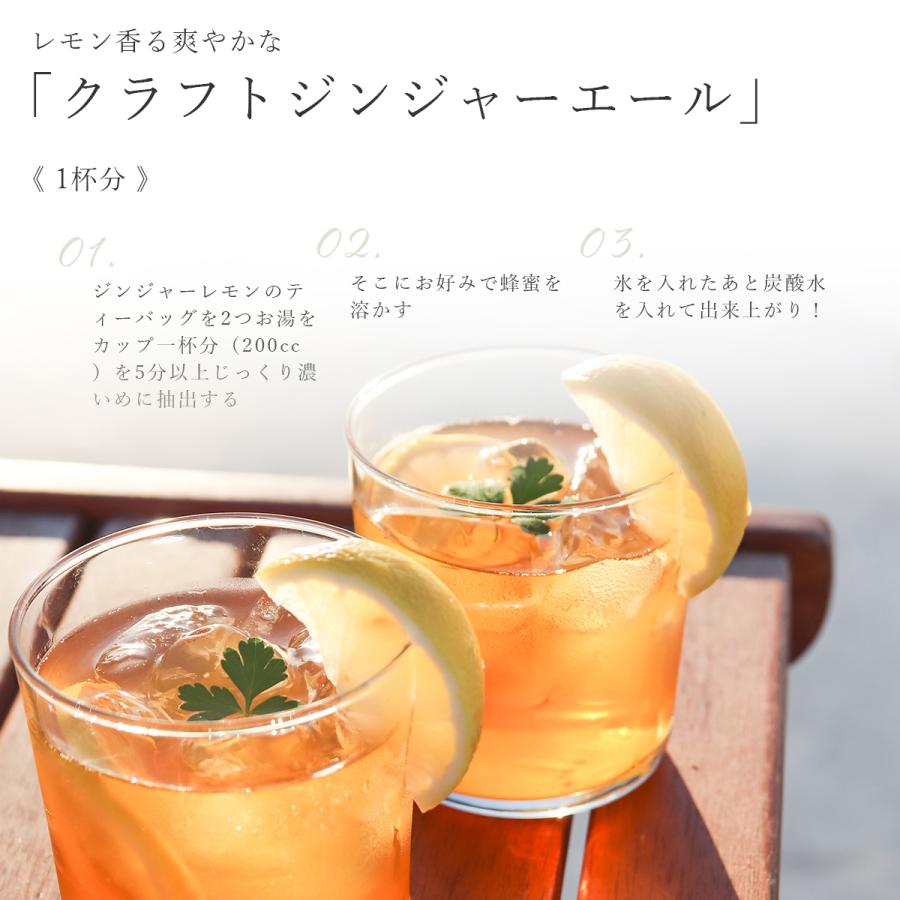H＆F BELX ジンジャーレモンルイボスティー 2.0g×30包｜グリーン
