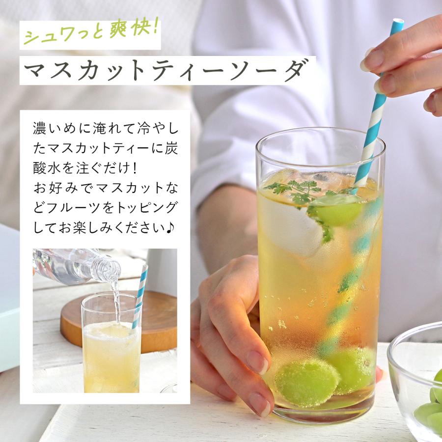 H＆F BELX ［CUBE］マスカットルイボスティー 2.0g×20包｜ルイボス