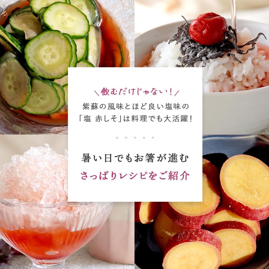 塩 赤しそルイボスティー 1.5g×30包｜ルイボスティー ハーブティー 茶葉  お茶  ノンカフェイン ティーバッグ 温活 H&F BELX [M便 1/3] | H＆F BELX | 11