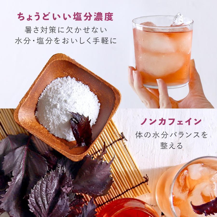 塩 赤しそルイボスティー 1.5g×30包｜ルイボスティー ハーブティー 茶葉  お茶  ノンカフェイン ティーバッグ 温活 H&F BELX [M便 1/3] | H＆F BELX | 07