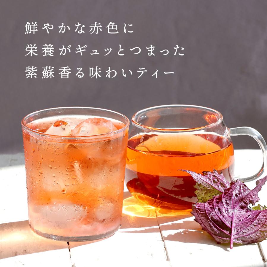 H＆F BELX [Petit Pack] 塩 赤しそルイボスティー 1.5g×5包｜ルイボス