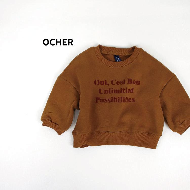 ベビー服 トレーナー プルオーバー キッズ服 トップス 女の子 男の子 子ども服 長袖 秋 冬 春 秋冬 可愛い かわいい おしゃれ オシャレ キッズ ベビー 80 90 100 |  | 02