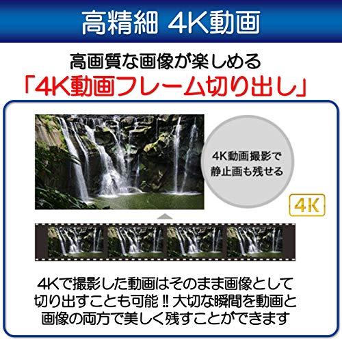 数量限定 Canon コンパクトデジタルカメラ PowerShot SX740 HS 【LWH7531954784】(26597円)
