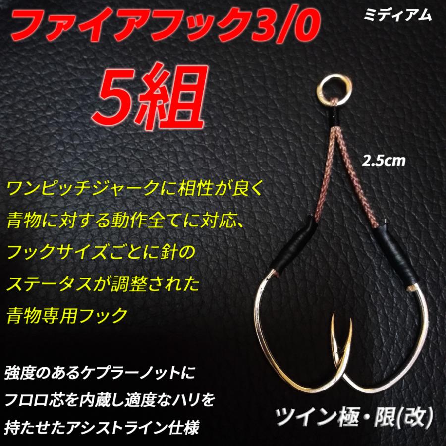 アシストフック ダブル ツイン ミディアム ファイアフック3 0 ケプラーノット仕様改 Fire30 Tkgkmk005 フック工房モリシタ 通販 Yahoo ショッピング