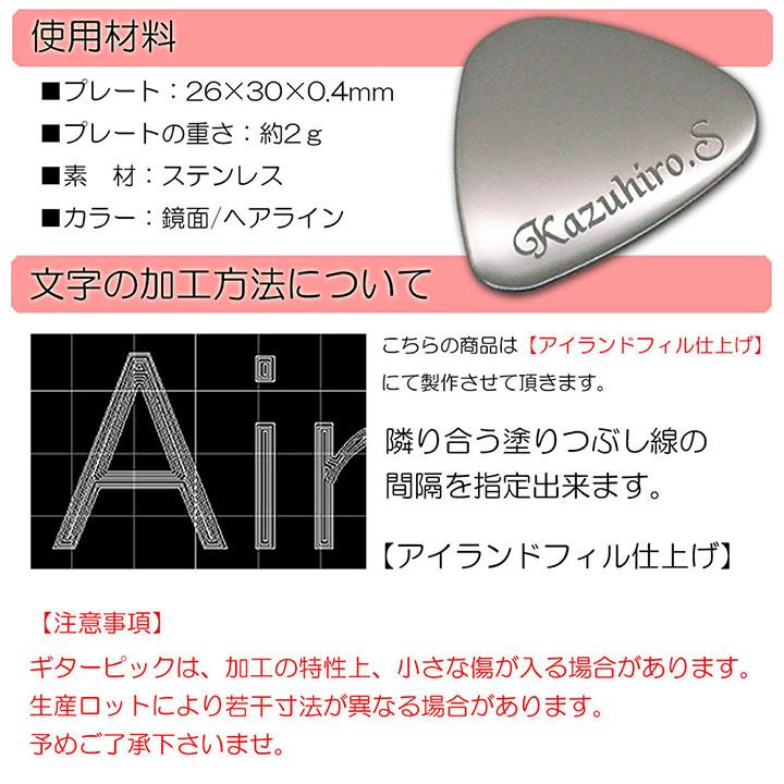 オリジナル ネーム 名入れ 刻印 ギター ピック 2枚セット ギフトにお
