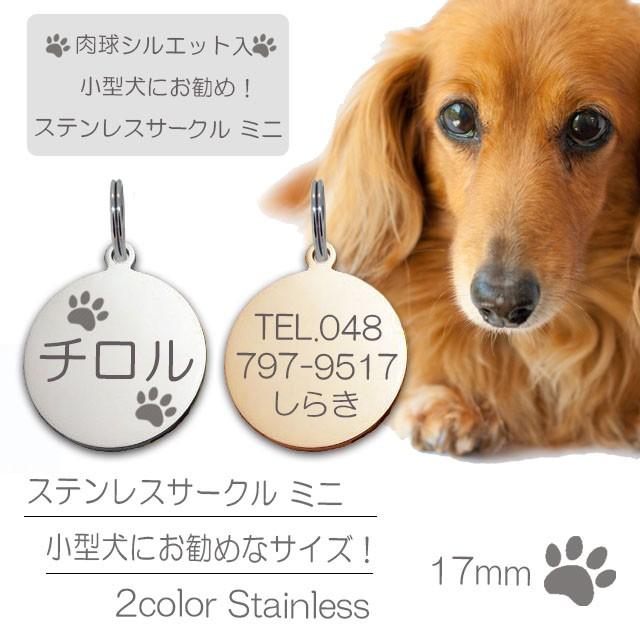 迷子札 肉球 シルエット入 小型犬用 ネーム プレート ステンレスサークルミニ St C17mini Dog ハンドメイドスタジオ Airskyweb 通販 Yahoo ショッピング