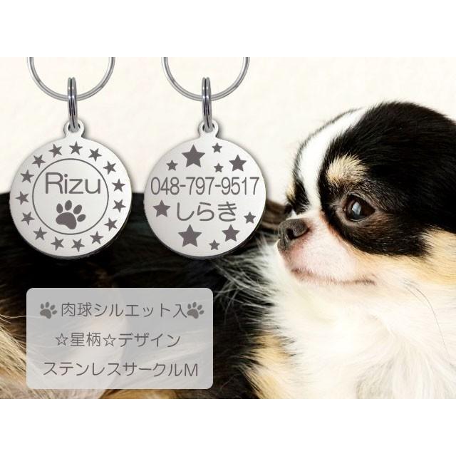 迷子札 肉球 シルエット入 星柄デザイン 愛犬 ネーム プレート
