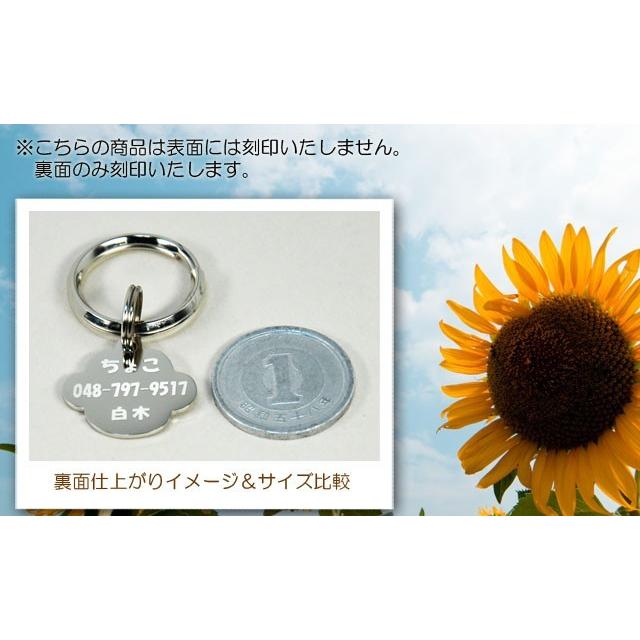 小型犬・猫用！かわいいデザイン肉球型☆ドッグタグ迷子札 |  | 01