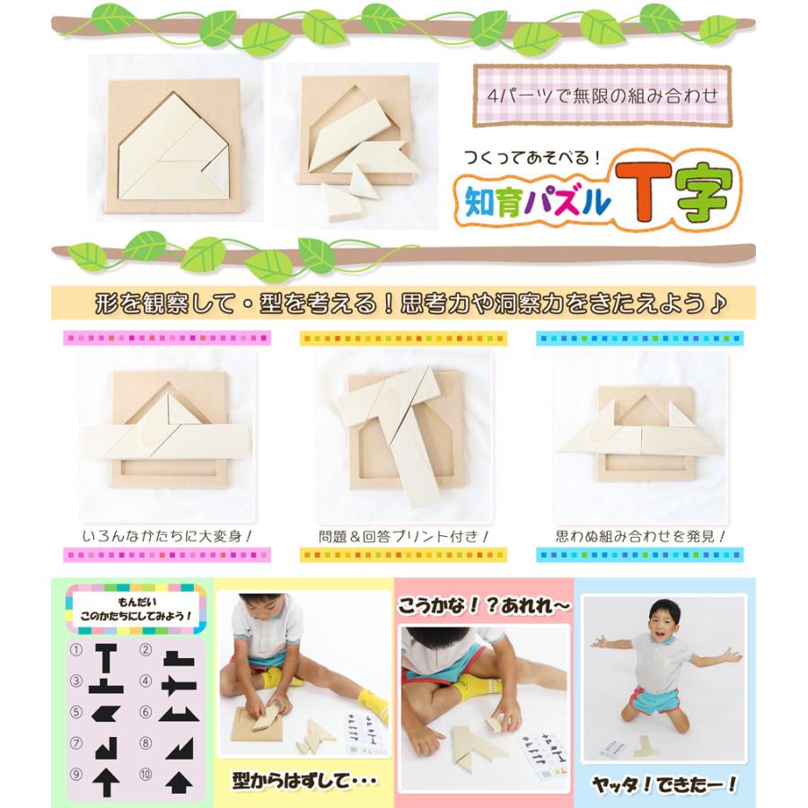知育パズル T字 木製パズル 木のパズル 知育 知育玩具 子供玩具 遊び おもちゃ 脳トレ T字パズル T型パズル 05 428 夏休み冬休み手作り工作宅配便 通販 Yahoo ショッピング
