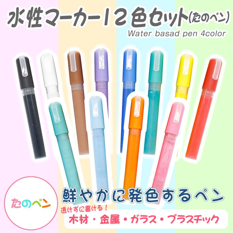 水性マーカー たのペン 12色セット ガラス 木材 金属 マジック