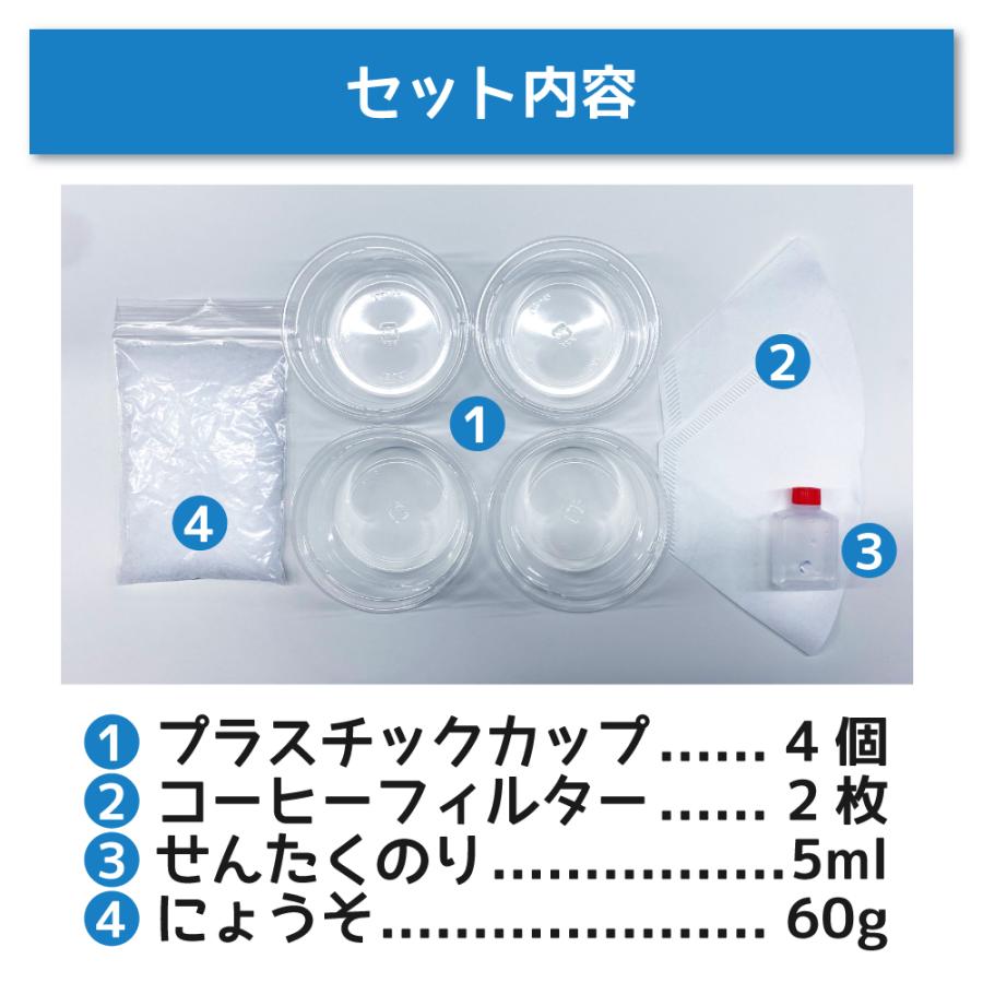 実験キット 小学生 くらべる結晶 知育 自由研究 自由工作 科学工作