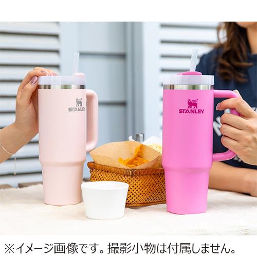 スタンレー（STANLEY） H2.0真空スリムクエンチャー 0.88L