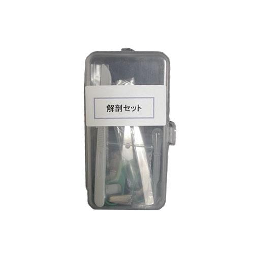 いわしや 解剖セット ハンズ : ハンズYahoo!ショッピング店 - 通販