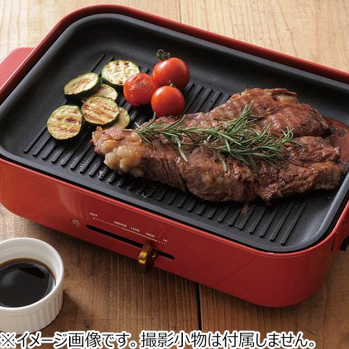 ブルーノ（BRUNO） コンパクトホットプレート用 グリルプレート ハンズ