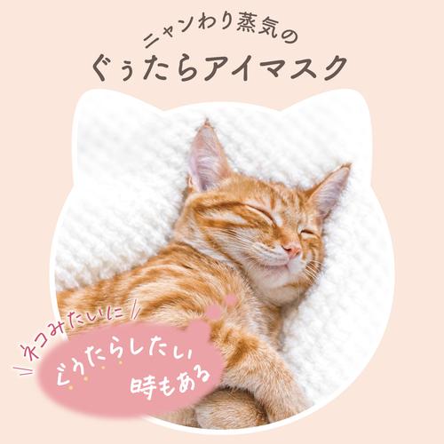 キモチ　ネコのきもち　ホットアイマスク　5枚入　ミケ　やわらかリネンの香り ハンズ |  | 01