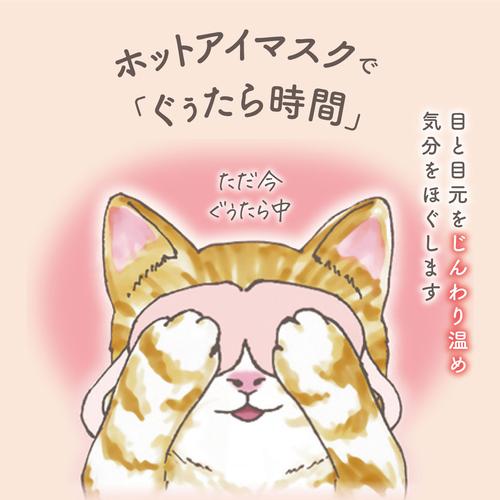 キモチ　ネコのきもち　ホットアイマスク　5枚入　ミケ　やわらかリネンの香り ハンズ |  | 03
