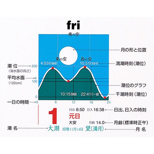 2026年版・壁掛】 シーガル タイドカレンダー B3判 ハンズ : ハンズ