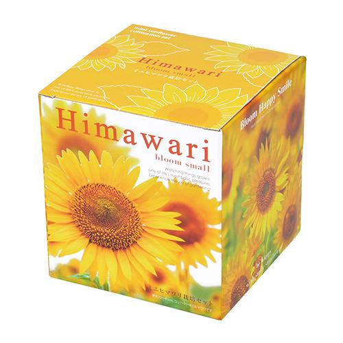 大好評です 聖新陶芸 ミニヒマワリ栽培セット Gd753 園芸用品 ミニ盆栽 栽培キット 東急ハンズ Rmladv Com Br