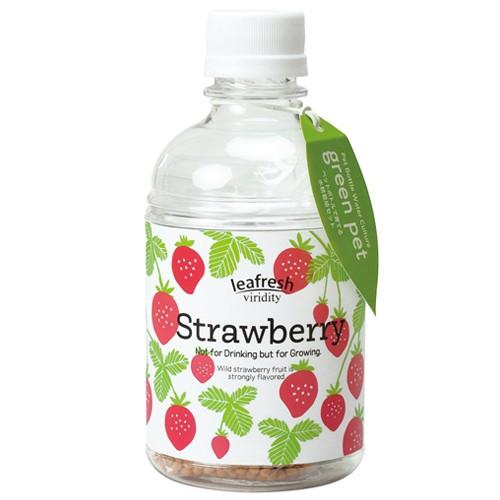 返品送料無料 聖新陶芸 育てるグリーンペット Gd863ー4 ワイルドストロベリー 園芸用品 ミニ盆栽 栽培キット 東急ハンズ