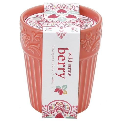 聖新陶芸 ボタニカルポット ストロべリー Gd904 1 園芸用品 ミニ盆栽 栽培キット 東急ハンズ 東急ハンズ Paypayモール店 通販 Paypayモール