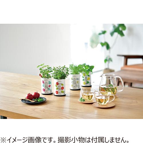 聖新陶芸 育てるフレーバーミント Gd905 1 園芸用品 ミニ盆栽 栽培キット 東急ハンズ ハンズyahoo ショッピング店 通販 Yahoo ショッピング