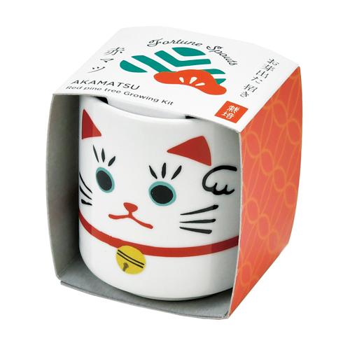 聖新陶芸 お芽でたおちょこ招き白 Gd914 1 園芸用品 ミニ盆栽 栽培キット 東急ハンズ ハンズyahoo ショッピング店 通販 Yahoo ショッピング