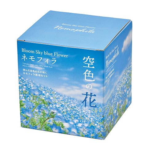 聖新陶芸　空色の花　ネモフィラ栽培セット　GD929 ハンズ | 