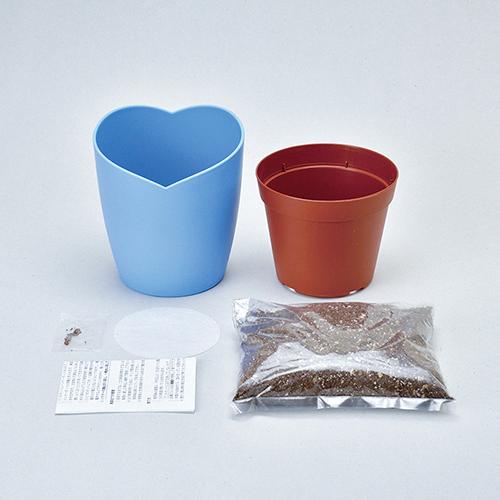 聖新陶芸　空色の花　ネモフィラ栽培セット　GD929 ハンズ |  | 01