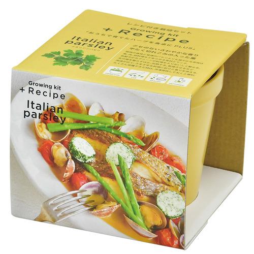 聖新陶芸 レシピ付き栽培セット Gd951 2 パセリ 園芸用品 ミニ盆栽 栽培キット 東急ハンズ