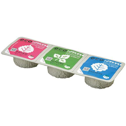 品多く 聖新陶芸 エコポケット Gd952ー2 ジャパニーズc 園芸用品 ミニ盆栽 栽培キット 東急ハンズ