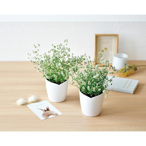 聖新陶芸 うさぎのしっぽみたいなクローバー栽培セット Gd966 園芸用品 ミニ盆栽 栽培キット 東急ハンズ ハンズyahoo ショッピング店 通販 Yahoo ショッピング