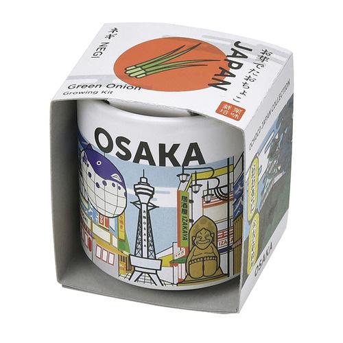 聖新陶芸 お芽でたおちょこJAPAN GD997‐4 大阪/ねぎ ハンズ : ハンズ