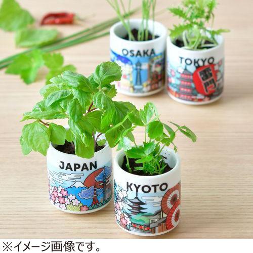 聖新陶芸 お芽でたおちょこJAPAN GD997‐4 大阪/ねぎ ハンズ : ハンズ