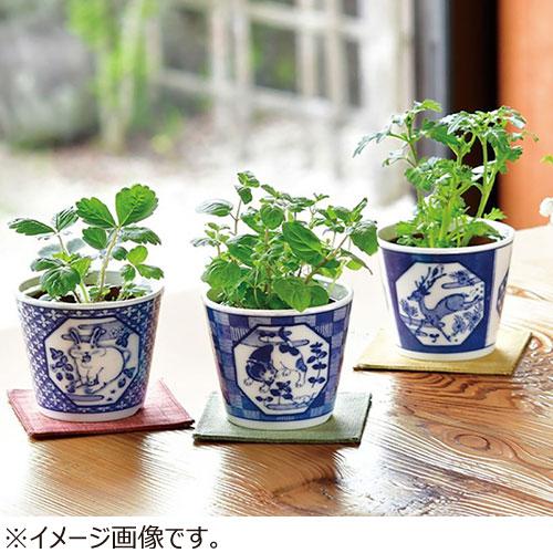 聖新陶芸 染付小紋草加BONSAI ねこ／ミント GD1022‐2 ハンズ : ハンズ