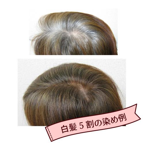 グリーンノートヘナ　オーガニータ　白髪染め　サハラブラウン（明るい茶色）　100g│トリートメント　ヘアカラートリートメント ハンズ｜hands-net｜05