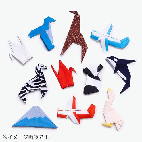 ヒャクパーセント（100percent）　プチペット（PetiPeto）　富士山 ハンズ |  | 03