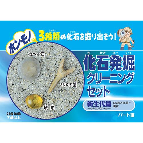 東京サイエンス 化石発掘クリーニングセット 新生代編 ハンズ : ハンズ