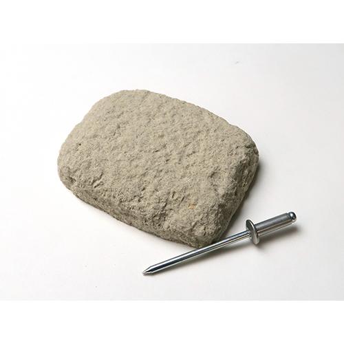 東京サイエンス 化石発掘クリーニングセット 新生代編 ハンズ : ハンズ