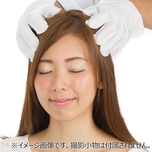 本田洋行 手袋シャンプー 介護用 5枚入 フルーティフローラルの香り 防災用品 即日出荷 避難グッズ 用品 その他 東急ハンズ