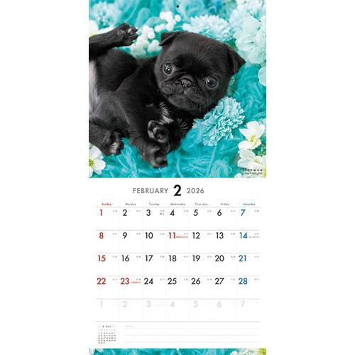 2026年版・壁掛】 ピクトワン（PICTWAN） パグ L版 L021 ハンズ