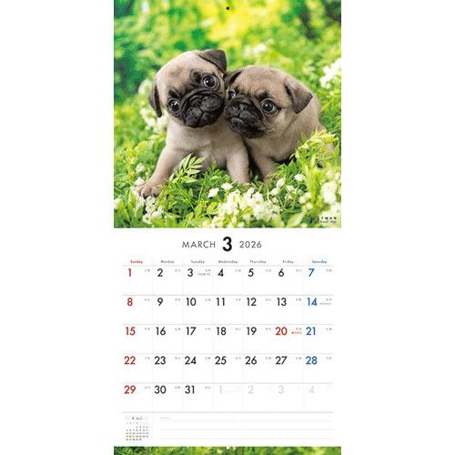 2026年版・壁掛】 ピクトワン（PICTWAN） パグ L版 L021 ハンズ