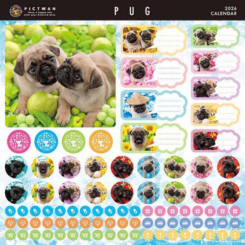 2026年版・壁掛】 ピクトワン（PICTWAN） パグ L版 L021 ハンズ
