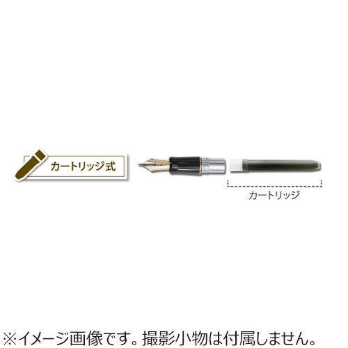 パイロット(PILOT) 万年筆用カートリッジインキ IRF-12S-R レッド 12本入│万年筆 万年筆インク 東急ハンズ|東急ハンズ PayPayモール店|02