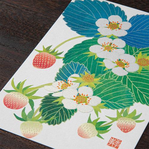 ミドリ（MIDORI） ポストカード017 80017 苺柄 S3 ハンズ : ハンズ