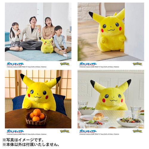 タカラトミー（TAKARA TOMY） ポケットモンスター ポケモン30周年記念
