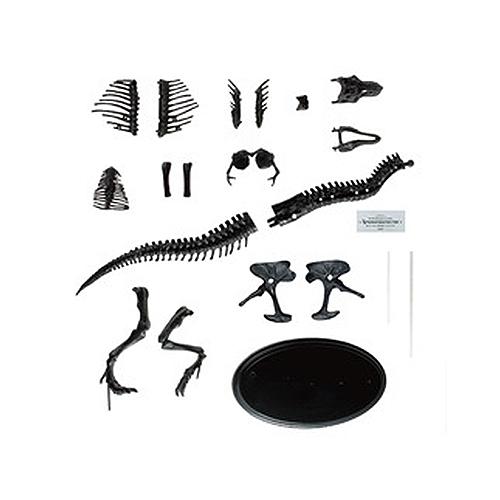 学研（Gakken）　科学と学習PRESENTS　ティラノサウルス１／３５骨格模型キット＆本物の大きさ特大ポスター　Q750763│実験用品 ハンズ｜hands-net｜02
