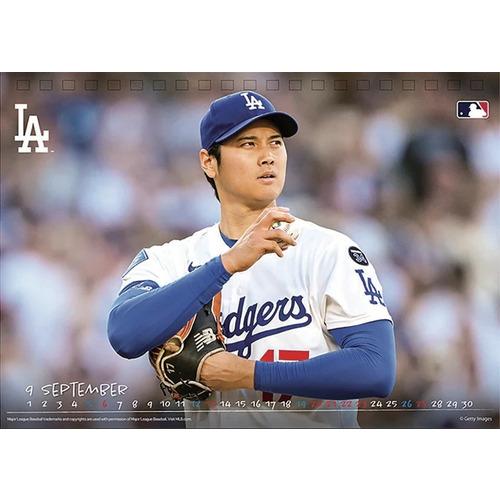 大谷翔平 16番 Mサイズ 2026年版・卓上】 エンスカイ 大谷翔平 卓上カレンダー CL-552 ハンズ